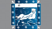 Arctic Chiropractic-Physical