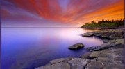 Tenenbaum Chiropractic