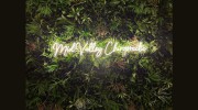 Mid Valley Chiropractic Linic