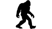 Bigfoot Wellness