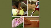 Summerville Chiropractic