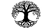 Knopp Chiropractic & Rehabilitation