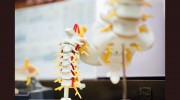 Journey Family Chiropractic
