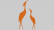 Prairie Path Wellness