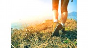 Sussex County Total Health