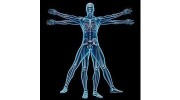 Kinsella Chiropractic Clinic