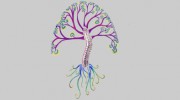 Living Roots Chiropractic