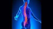 Able Accident Chiro Clinic