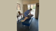 Elvine Chiropractic
