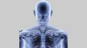 Inline Spine Chiropractic