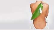 South Charlotte Chiropractic