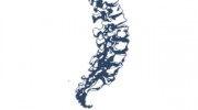 N 8 Family Chiropractic