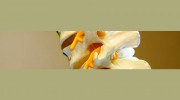 Hinckley Chiropractic