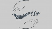 Laurel Street Chiropractic & Spa
