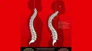 Foundation Chiropractic