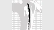 McKay Chiropractic & Sports Therapy