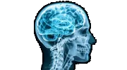 Hanson Chiropractic Neurology & Massage