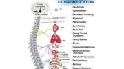Fagan Chiropractic & Thermal Imaging