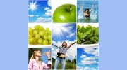 AFC Wellness