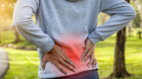 Low Back Pain Care