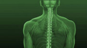Naturally Chiropractic